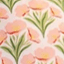 BLUSH MIX