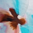Color swatch - AQUA MIX